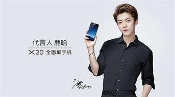 中国哪个明星代言乐天,携手国民偶像，共筑品牌新篇章