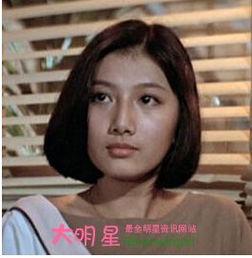 明星家暴刘,刘星家暴事件引发社会关注