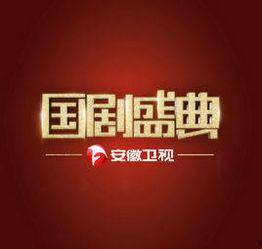 安徽卫视在线观看回放,在线回放重温经典