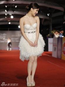 av女郎陈静,从AV女郎到励志典范的蜕变之路