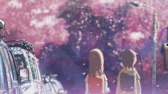 日本悲伤音乐樱花,日本悲伤音乐之旅