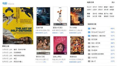 想找个网站AV,AV网站带你领略沉浸式体验新境界