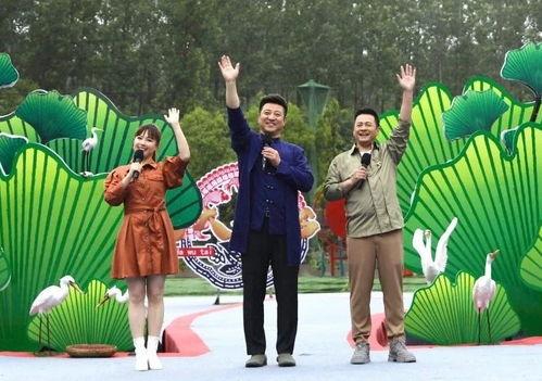 动漫联动手机最新爆料视频,带你领略跨界魅力