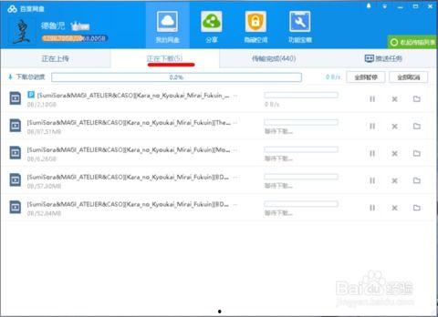 无码网盘种子下载,轻松获取海量资源攻略
