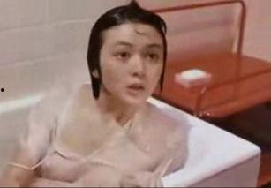 夏日福星免费观看下载,免费观看与下载，畅享欢乐时光